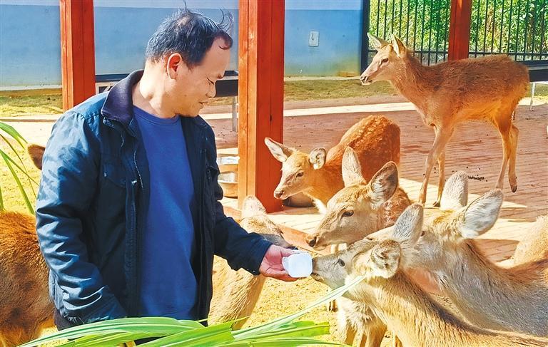 量发展产业调研】林下生金不朽情缘游戏入口【高质(图2)